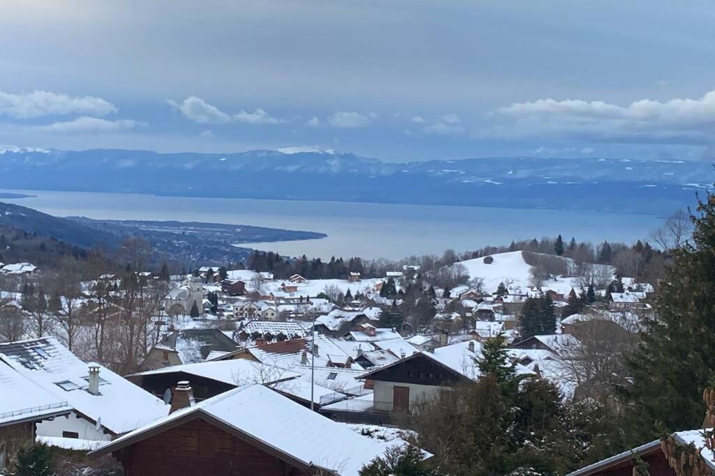 Duplex En Station Vue Sur Lac Leman Thollon-les-Memises 外观 照片