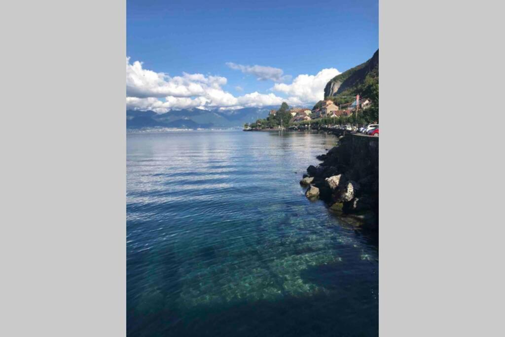 Duplex En Station Vue Sur Lac Leman Thollon-les-Memises 外观 照片