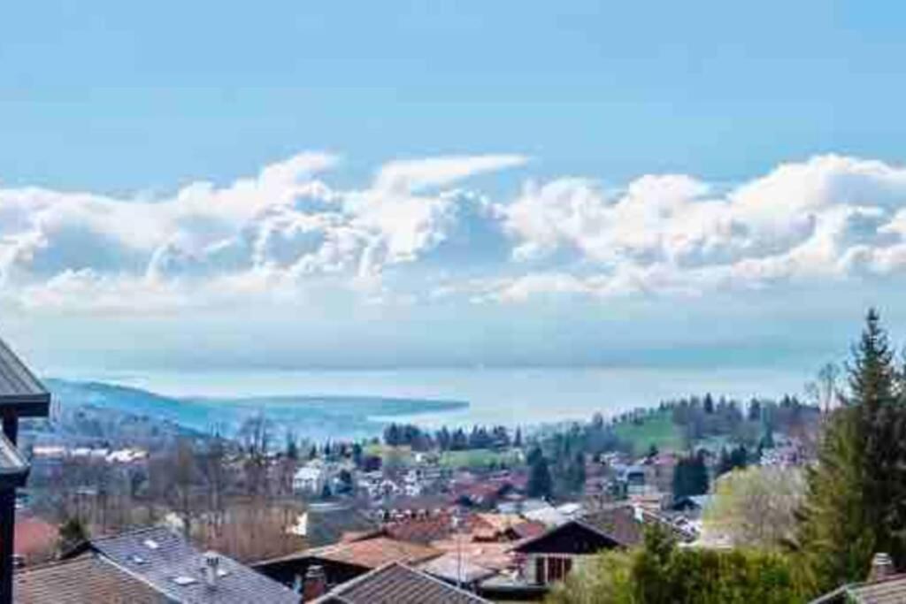 Duplex En Station Vue Sur Lac Leman Thollon-les-Memises 外观 照片