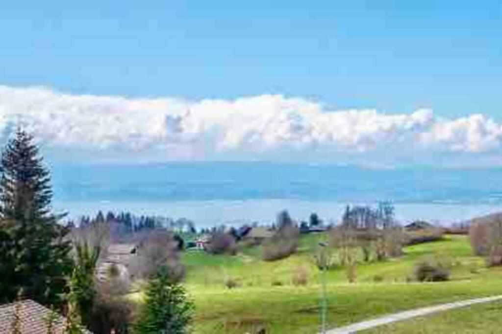 Duplex En Station Vue Sur Lac Leman Thollon-les-Memises 外观 照片