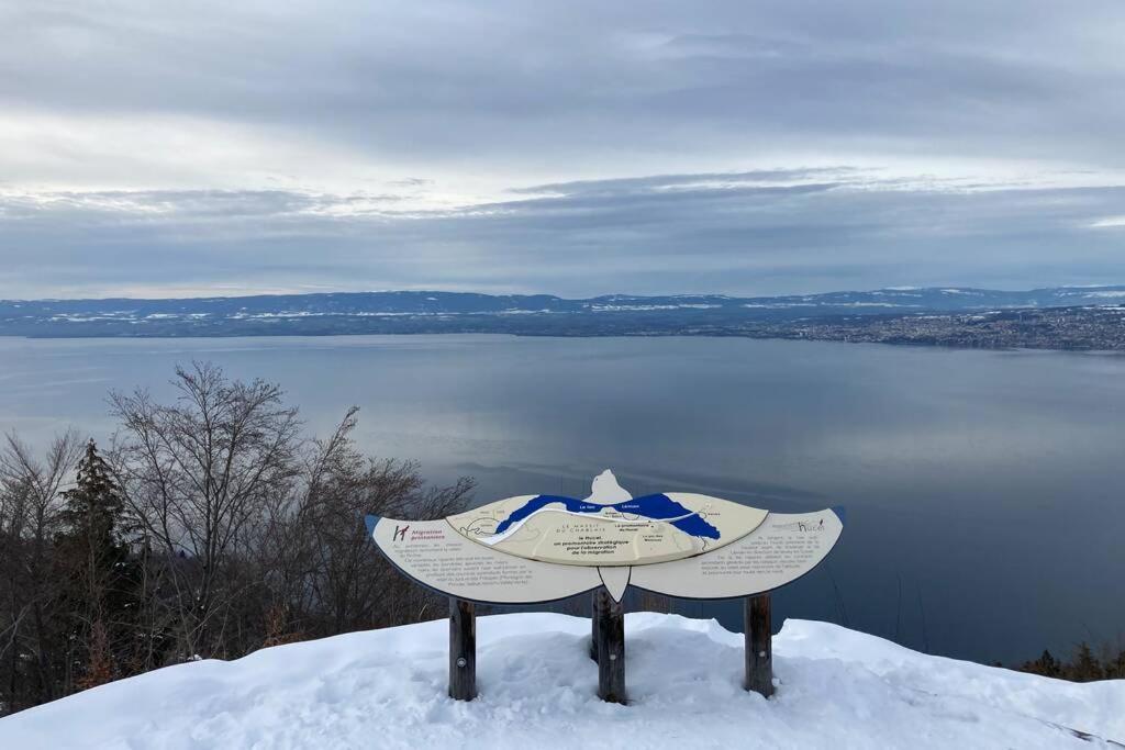 Duplex En Station Vue Sur Lac Leman Thollon-les-Memises 外观 照片