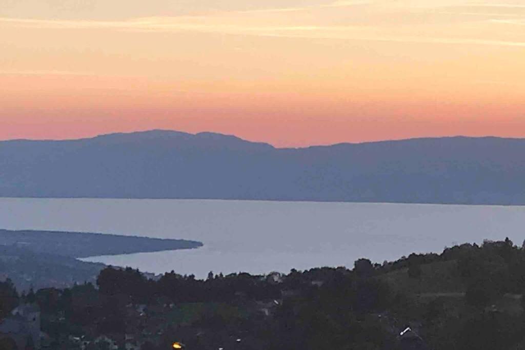 Duplex En Station Vue Sur Lac Leman Thollon-les-Memises 外观 照片