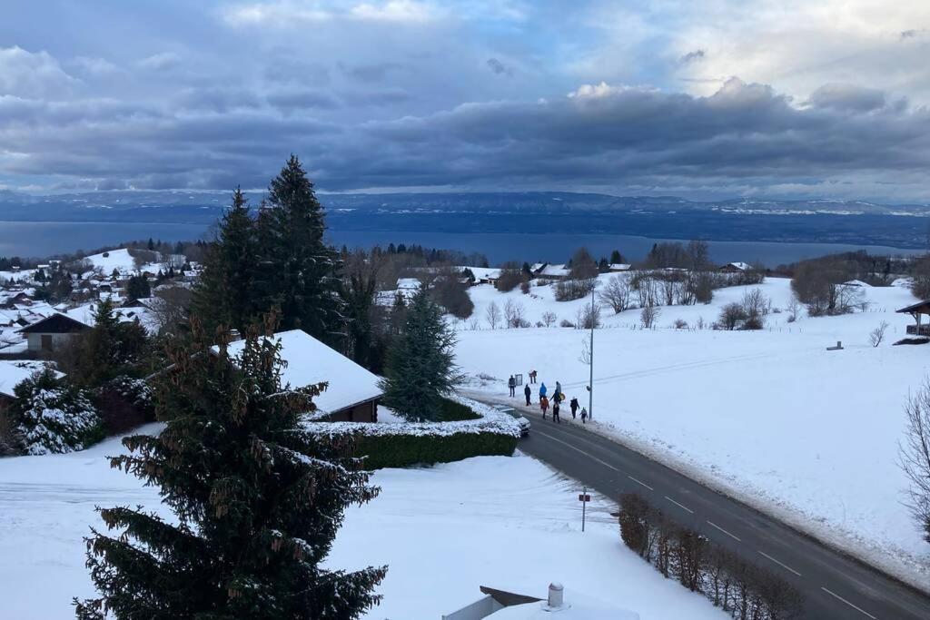 Duplex En Station Vue Sur Lac Leman Thollon-les-Memises 外观 照片