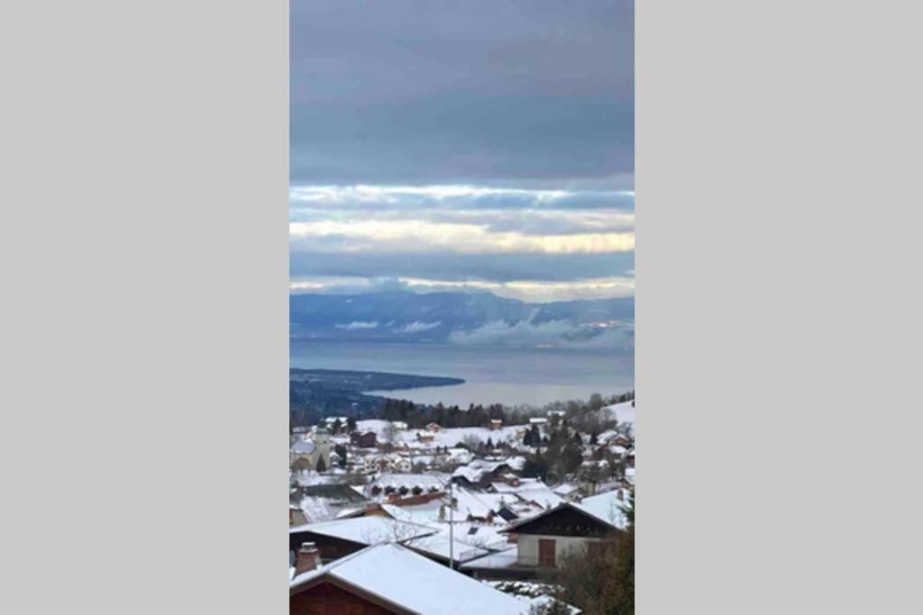 Duplex En Station Vue Sur Lac Leman Thollon-les-Memises 外观 照片