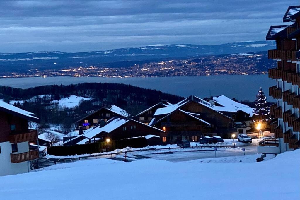 Duplex En Station Vue Sur Lac Leman Thollon-les-Memises 外观 照片