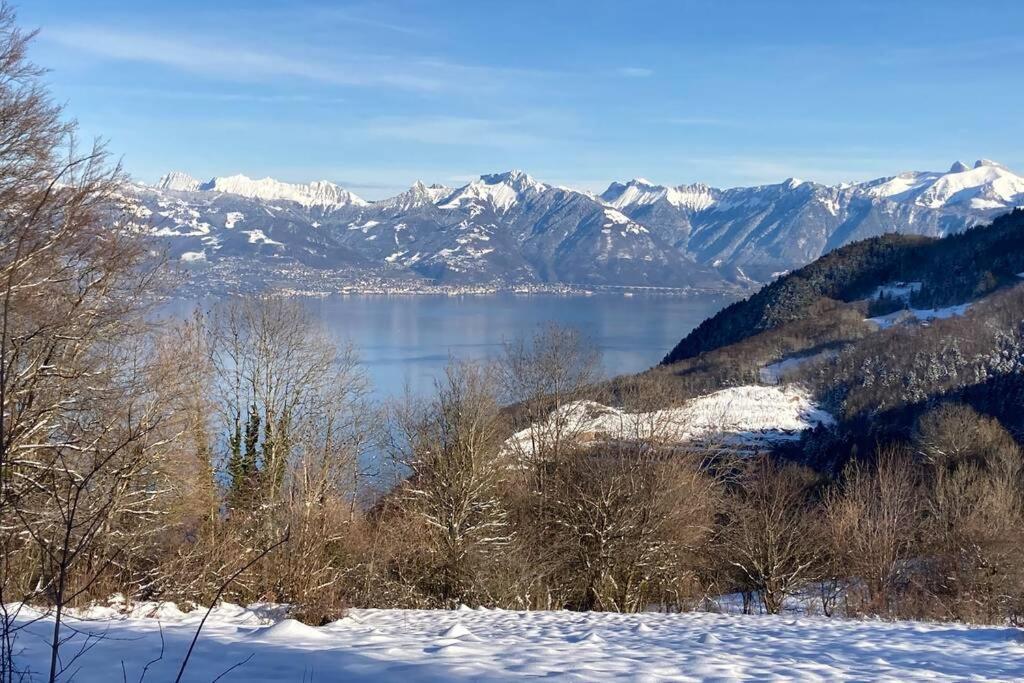 Duplex En Station Vue Sur Lac Leman Thollon-les-Memises 外观 照片