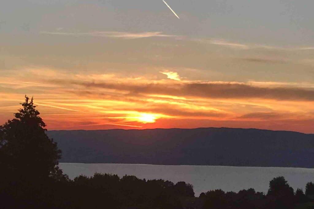 Duplex En Station Vue Sur Lac Leman Thollon-les-Memises 外观 照片