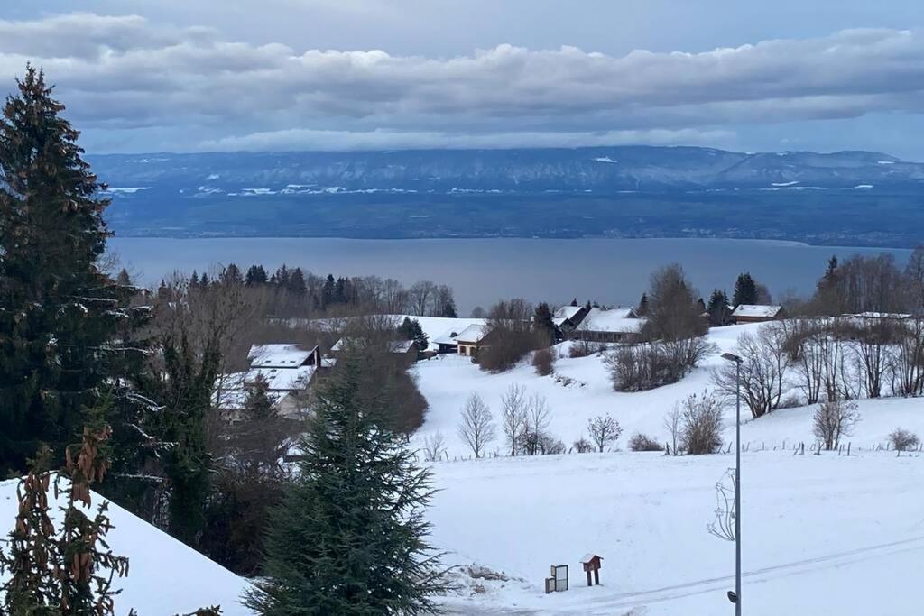 Duplex En Station Vue Sur Lac Leman Thollon-les-Memises 外观 照片