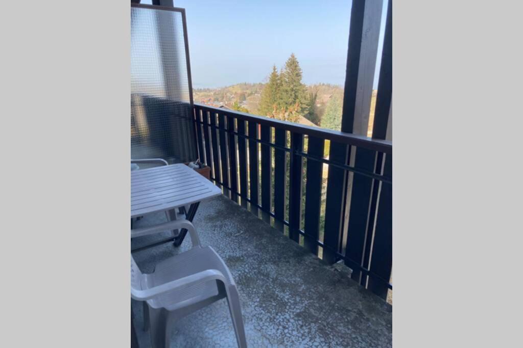 Duplex En Station Vue Sur Lac Leman Thollon-les-Memises 外观 照片